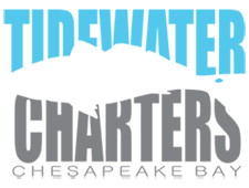 An image of the Tidewater Charters logo. Premier Chesapeake Bay Fishing Charters