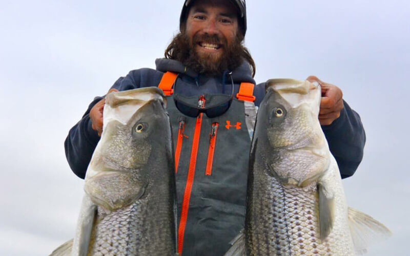 An image of Captain Tyler Nonn with impressive Chesapeake Bay Stripers