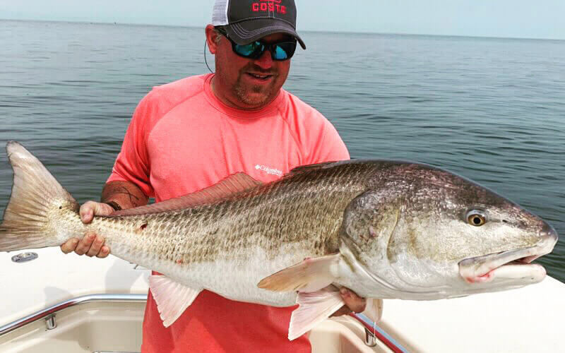 An image of a large redfish caught on a Tidewater Charter.
