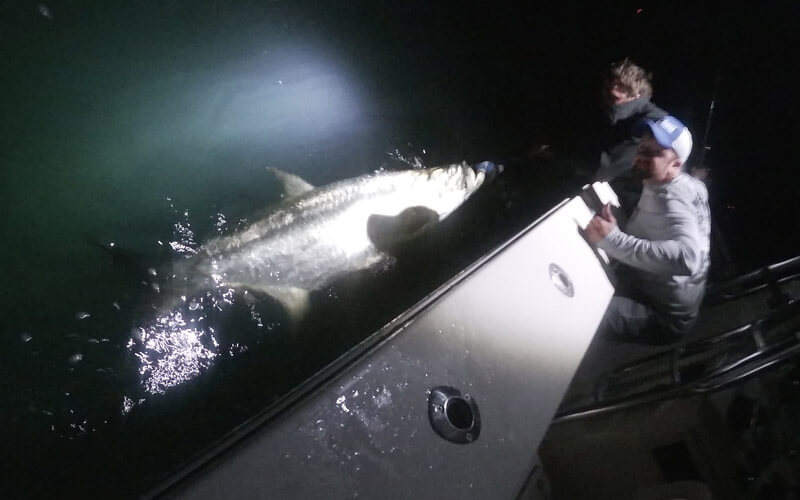 Nighttime tarpon fishing in the Florida Keys with Tidewater Charters.