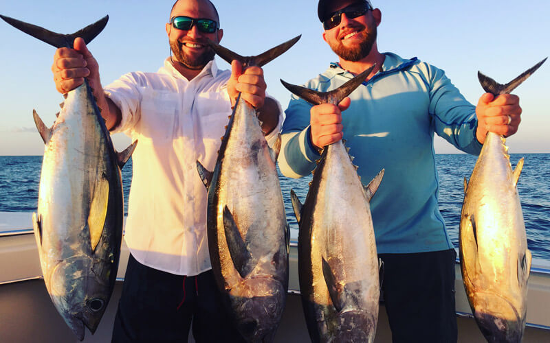 An image of blackfin tuna fishing in the FLorida Keys with Tidewater Charters. 