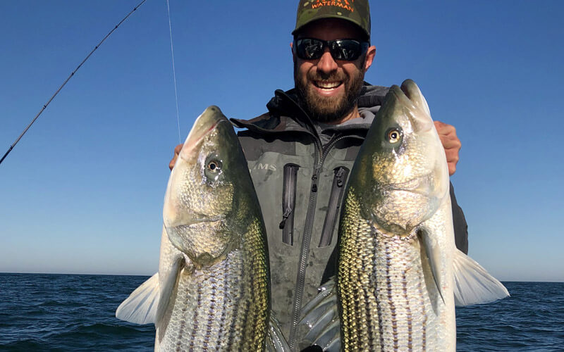 An image of a tidewater charters angler with two big striped bass. 