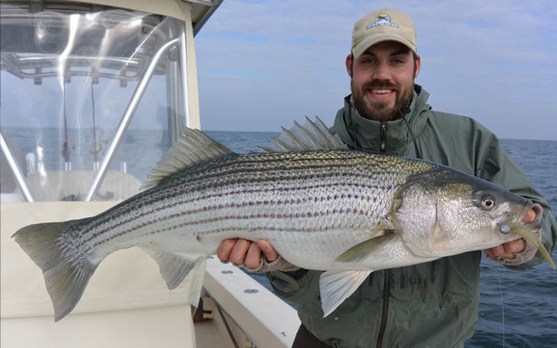 An image of an angler with a striped bass on a Chesapeake Bay Fishing Charter adventure with Tidewater Charters.