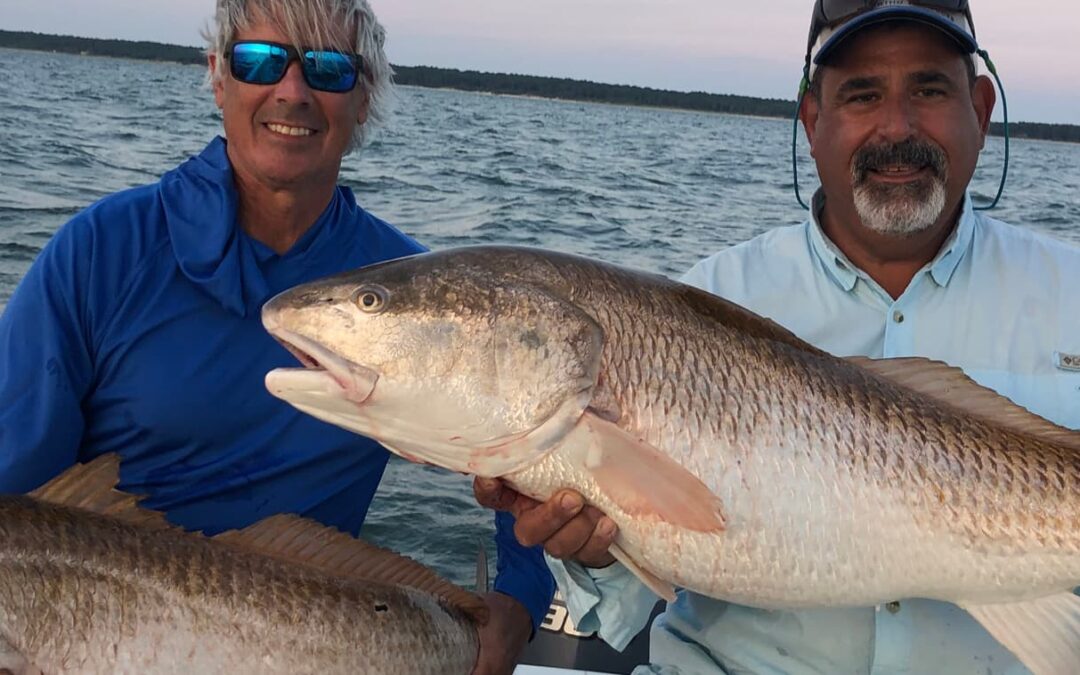 Targeting Chesapeake Bay Bull Red Drum