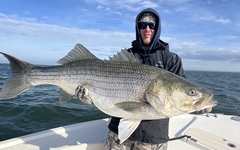 Fish with Tidewater Charters An image of an angler with a larger striper on a Tidewater Charter out of Cape Charles Virginia