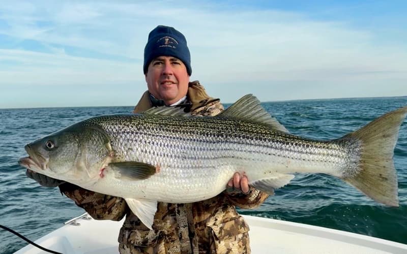 An image of an angler with a larger striper on a Tidewater Charter out of Cape Charles Virginia