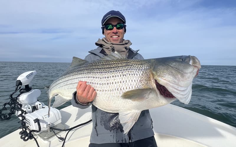 An image of an angler with a striped bass on a Cape Charles Fishing Charter adventure with Tidewater Charters.
